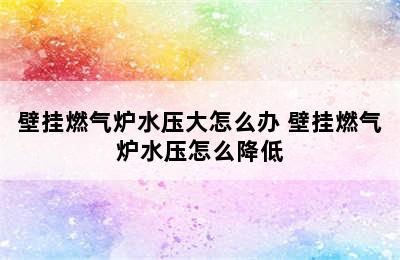 壁挂燃气炉水压大怎么办 壁挂燃气炉水压怎么降低